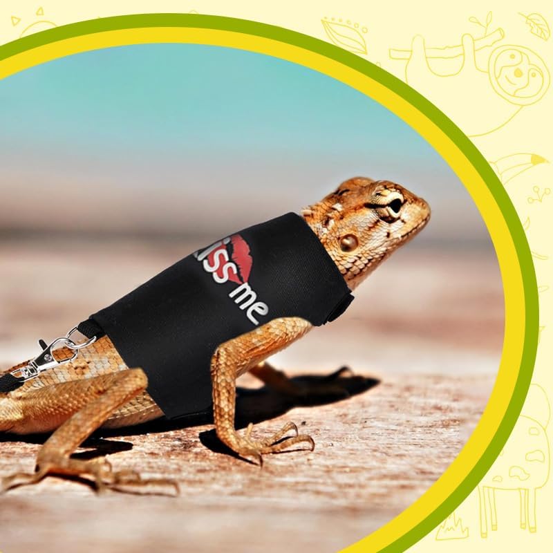 hokable Bearded Dragon Leash and Harness Adjustable - Bearded Dragon Leash and Harness Set with Lizard Luminous Leash for Amphibians Chameleons Small Pet Animals Outdoor Safety Walking（Black） - Image 4